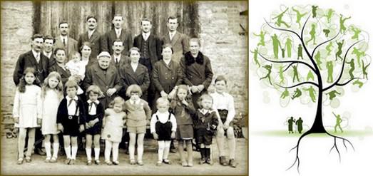 constellations familiales